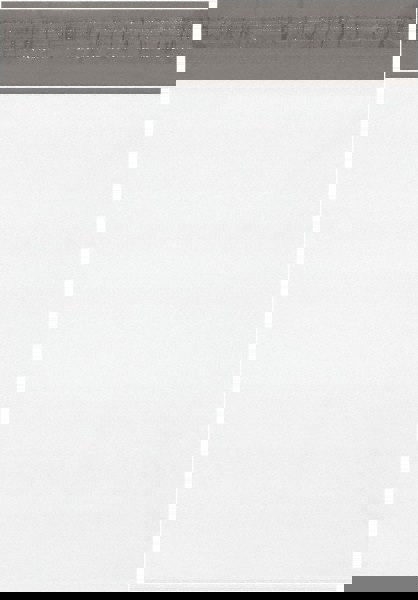 Courier Mailing Envelope: 13